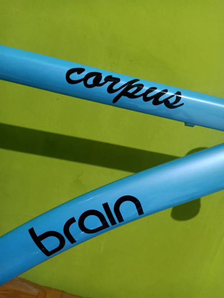 Frame brain online fixie