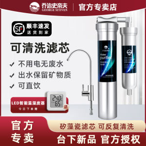 George Steve New under Sink Direct Drinking Water Purifier Home Countertop Filter Ceramic Core Activated Carbon Filter Stainless Steel