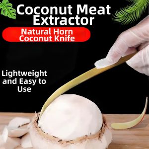 TINGSIMENG | Coconut Meat Scraper Coconut Tool
