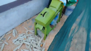 Máy Tách Hạt Ngô - Giá Tốt Sử Dụng Điện Gia Đình