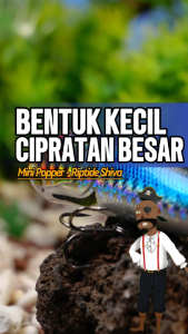 Umpan Pancing Ultralight Casting Mini Popper Riptide Shiva Berat 11Gr Panjang 7.4Cm Casting KakapHampalaTomanTrevallyBarramundiTarpoonMangrove Jack VIctory Tackle Online
