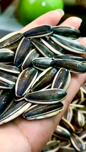 LAIAL  Margarine Sunflower Seeds  90g  100g   Crunchy Nuts & Seeds Premium Halal Snacks Selected Food