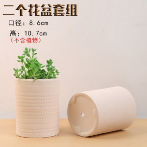 ThUMBprint Pot 10pcs Breathable Ceramic Succulent Plant Pots Unfired Hand-painted Coarse Clay Green Plant Succulent Bonsai Pots