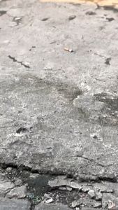 SKTOLET STIKER MOTOR SHAPIRE BLUE CANDY SKOTLET BIRU CANDY SKOTLET BIRU METALIK CANDY STIKER BIRU