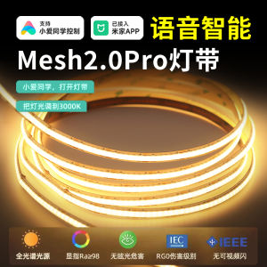 Smart Voice Control COB LED Strip Lights Dual Temperature Warm White Cool White Dimming Living Room Double Eyelid Linear Lights