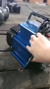 220V Self-Priming Explosion Proof Fuel Transfer Pump Large Flow Electric Transfer Oil Pump for Gasoline Diesel Kerosene