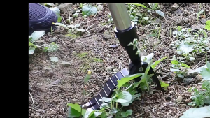 Weed Extractor Long Handle No Bending Weed Puller Root Removal Stainless Steel Lawn Care