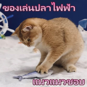 ตุ๊กตาปลาของเล่นสัตว์เลี้ยง ตุ๊กตาปลาดิ้นได้จริง หยอกล้อกับสิ่งประดิษฐ์แมว ถอดออกได้ ล้างทำความสะอาดได้ ปลากระโดด แถมฟรีสายชาร์จ