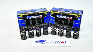 ATAKA VALVE SPRING FOR SNIPER 150 SNIPER 135 LC135 Racing