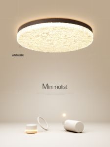 Modern Minimalist High-End Ceiling Light