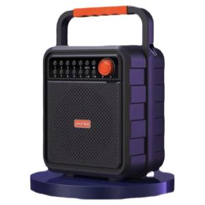 Bluetooth FM Radio Speaker with Wired Microphone Support & Digital Song Selection