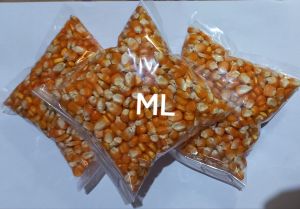benih bibit jagung kuning lokal original pilihan