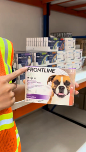 Frontline Plus Dog [Size L 20-40kg] - Tuýp nhỏ gáy phòng ngoại ký sinh ve rận bọ chét cho Chó - 1 Hộp 3 tuýp