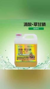 💗🙋♀️💗滴酸草甘膦批发除草烂根剂牛筋草小飞蓬芦苇死根烂根草甘膦厂