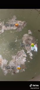 Starklin Brandwash Deep Washing Machine Cleaner / Pembersih Tabung Mesin Cuci 500 gram / Penghilang Bakteri Kerak dan Jamur pada Mesin Cuci