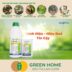 Chế Phẩm Trừ Bệnh Anvil 5SC GreenHome Syngenta Chai 100ml Đặc Trị Rỉ Sắt Phấn Trắng Khô Vằn