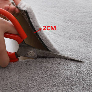 Modern Minimalist Thickened Super Soft Living Room Carpet Bedroom Full Coverage Home Use Sofa Coffee Table Mat Bedside Blanket