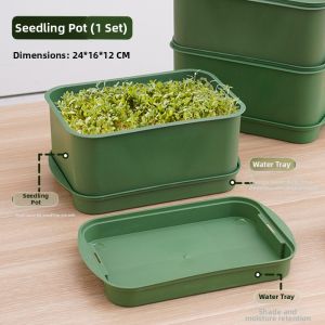 Large Capacity Bean Sprout Germination Tray