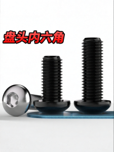 qd | Black 316 Stainless Steel Round Head Socket Head Cap Screw