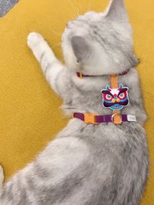 Pet Harness Leash Set H Design Cat Harness Small Dog Harness Lightweight Leash With Mythical Beast Charm