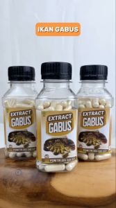 Ekstrak Ikan Gabus SYIFA BPOM 60 Kapsul - Kapsul Albumin Ikan Kutuk Gabus