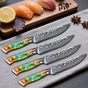 SANMUZUO มีดสเต็กชุด 4 ชิ้น - YAO Series - 5 นิ้วเหล็กดามัสกัสมีดสเต็กครัวไม่หยัก - ด้ามจับเรซินที่สะดวกสบาย