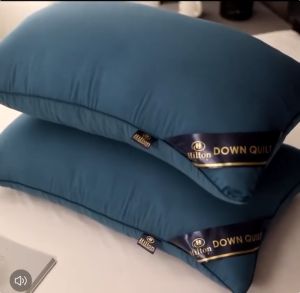 Buy 1 Take 1）Hilton Hotel Pillow - Cooling Magic Pillows for Back Stomach or Side Sleepers - 2 Pack Queen Bed Pillows for Sleeping