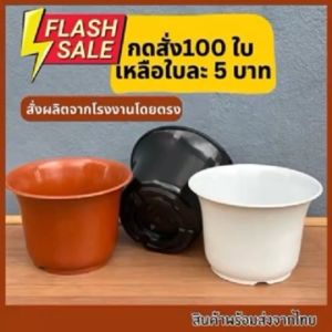 ถ้วยชา 5 นิ้ว 100 ใบ