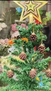 Hiasan Gantung Bunga Pinus Natural / Aksesoris Dekorasi pohon natal pinus kering / pine cone isi 6