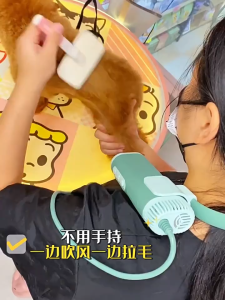 High-power quiet neck stand dehairing pet dryer for large small dogs water-drying stress-free bath grooming