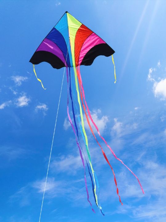 Weifang Kuxiang Kweichow Moutai Rainbow Kite Large Adult Breeze Flying ...