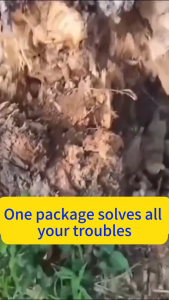 【Hasil cepat】Effective weed control Removing big trees and bamboo kuat Racun rumput Red magic racun rumput Racun rumput mati akar Kill tree and bamboo Hexazinone herbicide Weed killer Grass killer Racun rumput sambau