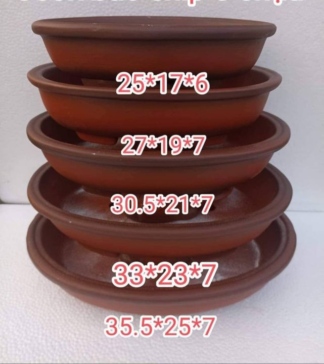 ch%C3%A1u%20ovan%20tr%E1%BB%93ng%20c%C3%A2y,%20l%C3%A0m%20ti%E1%BB%83u%20c%E1%BA%A3nh%20cao%20c%E1%BA%A5p%20-%20Image%202