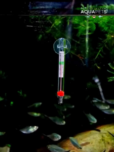 YEE Chubby Thermometer Floating YSL-110 for Aquarium Fish Tank