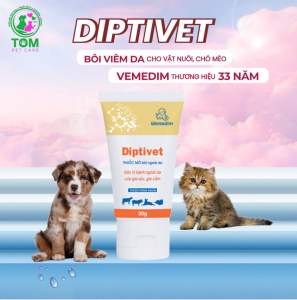 Diptivet 30g bôi viêm da ghẻ vết thương xà mâu cho chó mèo gia súc