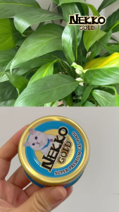 pate Nekko Gold dạng loncao cấp khiến mèo say mê - T3 PETS SHOP