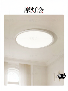 FANCY LAMP CLUB | Eye-Care LED Ceiling Light Thin Full Spectrum