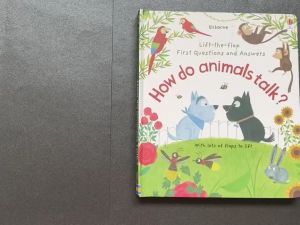 【READY STOCK】Usborne Lift-the-flap very first /First questions and answers 问答系列翻翻书 (BK24)