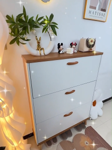 Flip Bucket Shoe Cabinet Shoe Rack Organizer Nordic Ultra Thin Slim Storage Cabinet Double Large Capacity For Hallway Organizer