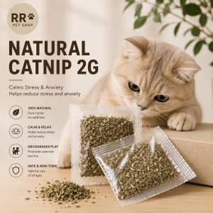 Natural Catnip 2g Premium Catnip Powder for Cats | Pokok Galak Kucing