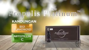 Propolis Platinum Original Antibiotik Alami