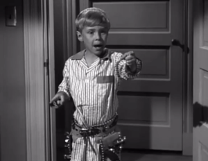 Dennis the Menace Live Action TV Series 1959 - 1963 MP4 File Collection Complete 4 Seasons in 64GB Flash Drive Plus Free Surprise Gift Plus Free Android OTG