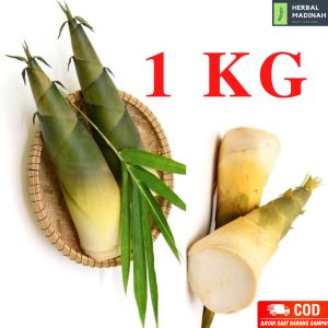 Rebung bambu kuning organik asli segar baru petik untuk kanker liver imunitas kolesterol