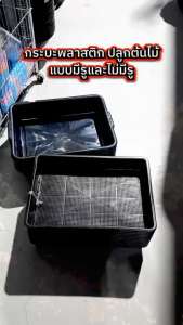 กระบะพลาสติก กระบะปลูกผัก ถาดสี่เหลี่ยมพลาสติก กระบะทรายแมว พลาสติกสีดำ มี 4 ตัวเลือก ขนาด 38x50x11 ซม.แข็งแรง ทนทาน พร้อมส่ง