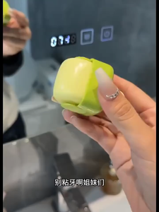 Portable Mini Sticky Hair Device Reusable Washable Pet Hair Remover Clothing Dust Removal 可水洗黏毛器