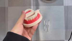 1set-Stainless Steel Toothpick Set Tooth Flossing Reusable Toothpicks Portable Toothpick Floss Teeth Cleaner Oral Cleaning