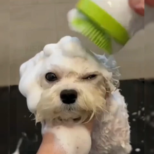 แปรงอาบน้ำสัตว์ แปรงอาบน้ำ2in1 แปรงขัดสัตว์เลี้ยง แปรงทำความสะอาดแมว/สุนัท หวีกำจัดขนสัตว์เลี้ยง สินค้าพร้อมส่งทั่วไทย