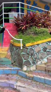 GOSWIM BURKINI Baju Renang Dewasa CuddleMe Kekinian Baju Renang Syari Free Hijab Bisa Mengapung Baju Apung