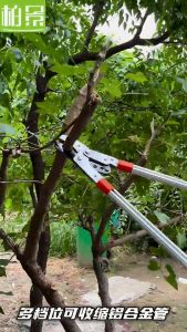 MOSIKEN SK5 Tree Branch Pruning Cutter Shears Telescopic Expandable Blade Wood Cutter Secateurs Home Gardening