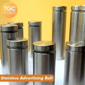 TGC 10 PCS Stainless Advertising Bolt M19 x 100mm ( 4 inches ) Glass Holder Standoff Pin Screw / tgc